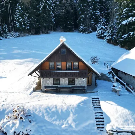 Tatil Evi Private Forest With Epic View *