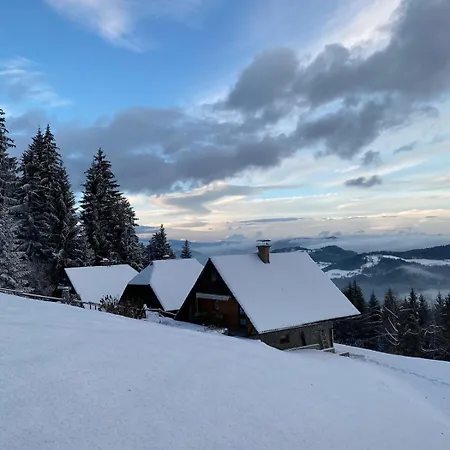 Ferienhaus Private Forest With Epic View *