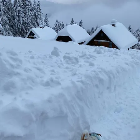 Private Forest With Epic View Hébergement de vacances