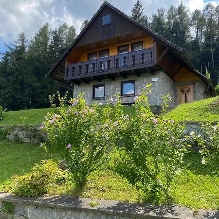 Private Forest With Epic View Tatil Evi