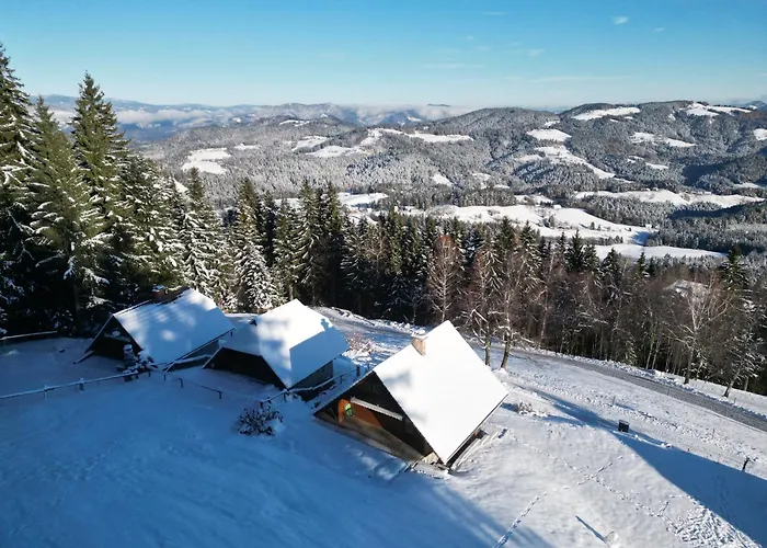 Private Forest With Epic View Casa vacanze *